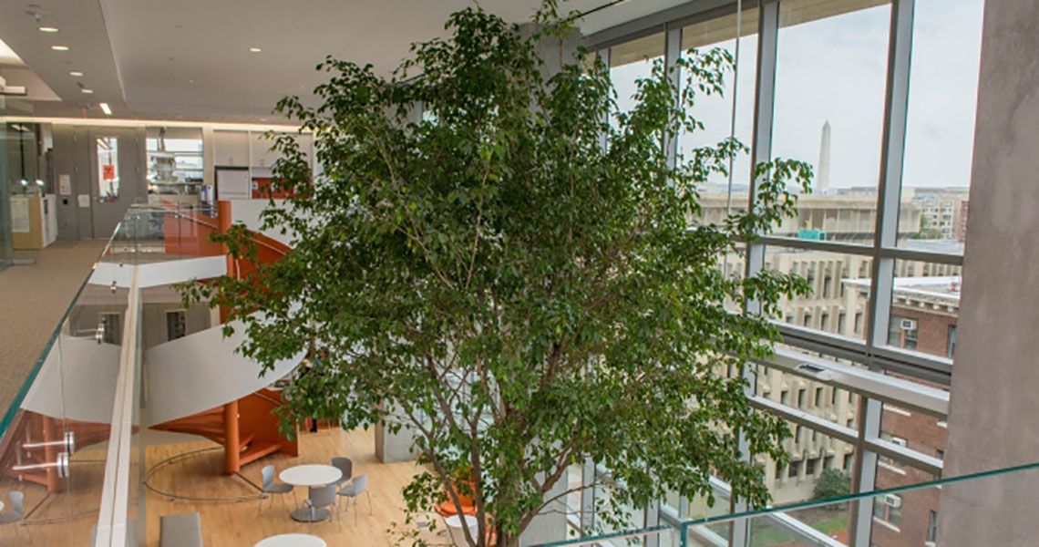 Building interior decor